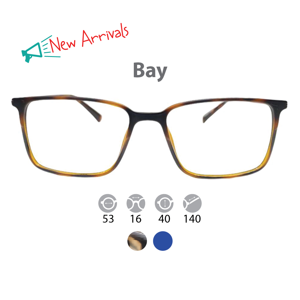 prescription glasses bay tortoise