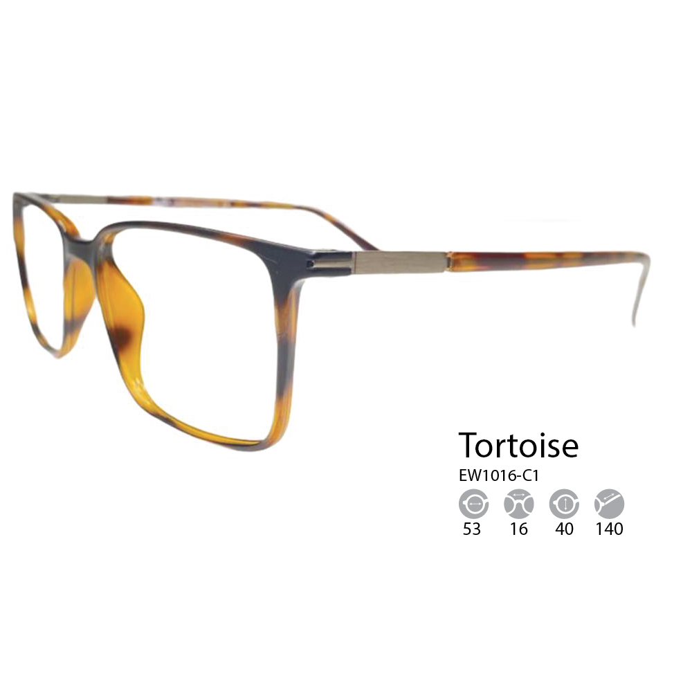 prescription-glasses-bay-tortoise-side